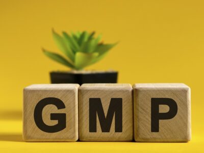 GMP - text on wooden cubes on a bright background and a black pot with a flower