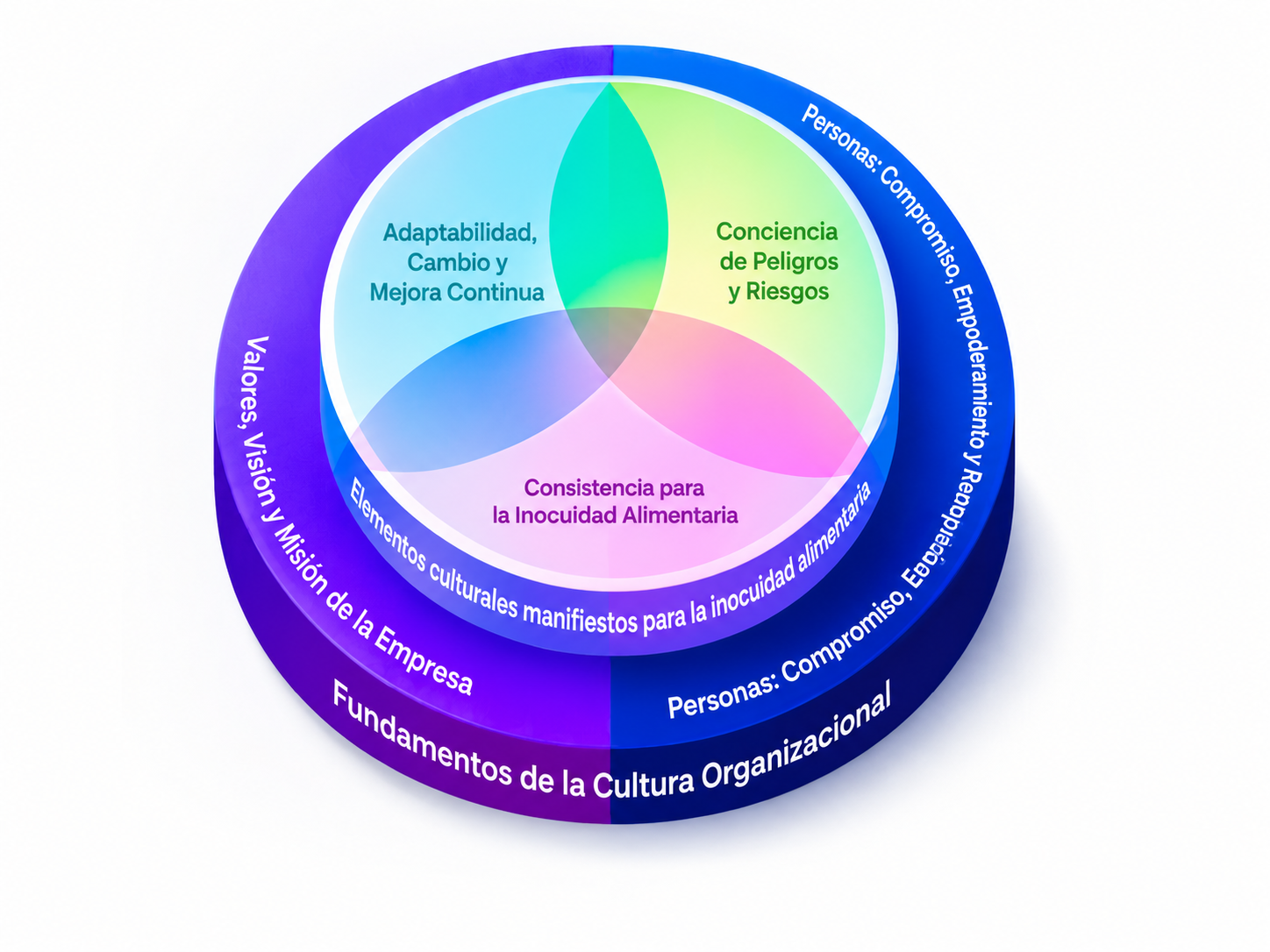 Figura 1 - Dimensiones de la Cultura de Inocuidad Alimentaria
